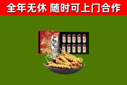 易县烟酒回收冬虫夏草礼盒.jpg